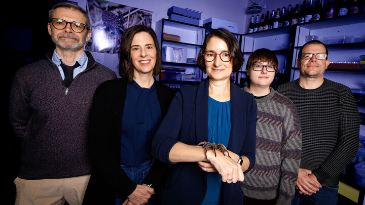 A group of five: (from left) Kevin Smith, Leland J. and Dorothy H. Olson Professor of political science; Heather Akin, associate professor of agricultural leadership, education and communication; Eileen Hebets, George Holmes Professor of biological sciences; Emma Brase, graduate student in psychology; and Mike Dodd, professor of psychology, standing in front of a blue lit background.