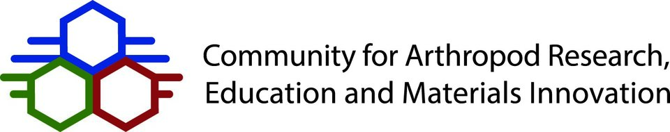 CAREMI Logo